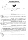 Vista preliminar de documento RDR 10863-2024