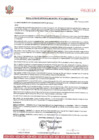 Vista preliminar de documento RESOLUCION DE GERENCIA MNICIPAL Nº 010