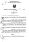 Vista preliminar de documento RDR 10867-2024