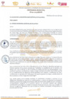 Vista preliminar de documento Ordenanza Municipal N°001-2025-MDVR
