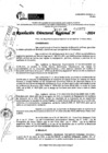 Vista preliminar de documento RDR 10872-2024