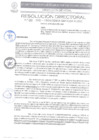 Vista preliminar de documento N.º 081-2025-GRSM/DIRESA-SM/OGESS-AH/DG