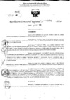 Vista preliminar de documento RDR 10876-2024