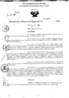 Vista preliminar de documento RDR 10877-2024