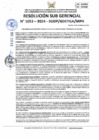 Vista preliminar de documento 1053-2024-SGDP/GDEYCA/MPH