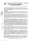 Vista preliminar de documento 031-2025-SGDPM/GGDE/MPH