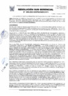 Vista preliminar de documento 039-2025-SGDPM/GGDE/MPH