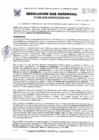 Vista preliminar de documento 048-2025-SGDPM/GGDE/MPH