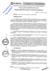 Vista preliminar de documento RES.RECT. N° 0030-2025-UNHEVAL