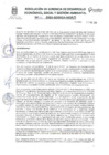 Vista preliminar de documento RESOLUCION N°11-2025-GDESGA