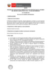 Vista preliminar de documento Bases del proceso