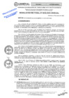 Vista preliminar de documento RES. REC. 0038-2025