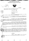 Vista preliminar de documento RDR 10880-2024
