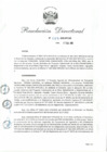 Vista preliminar de documento rd_029_2025