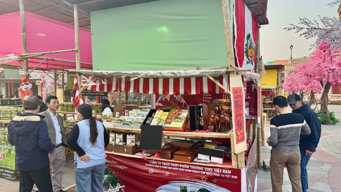 Embajada del Perú en Vietnam promociona la maca en Festival de Primavera 2025