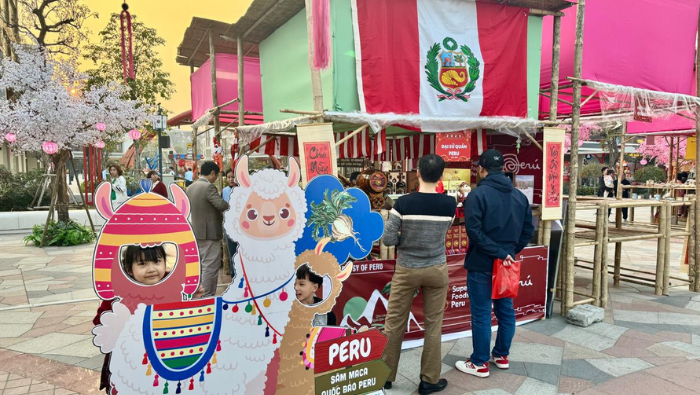 Embajada del Perú en Vietnam promociona la maca en Festival de Primavera 2025