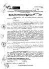 Vista preliminar de documento RDR 10887-2024