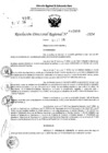 Vista preliminar de documento RDR 10888-2024