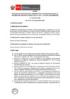 Vista preliminar de documento Bases del proceso
