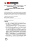 Vista preliminar de documento Bases del proceso