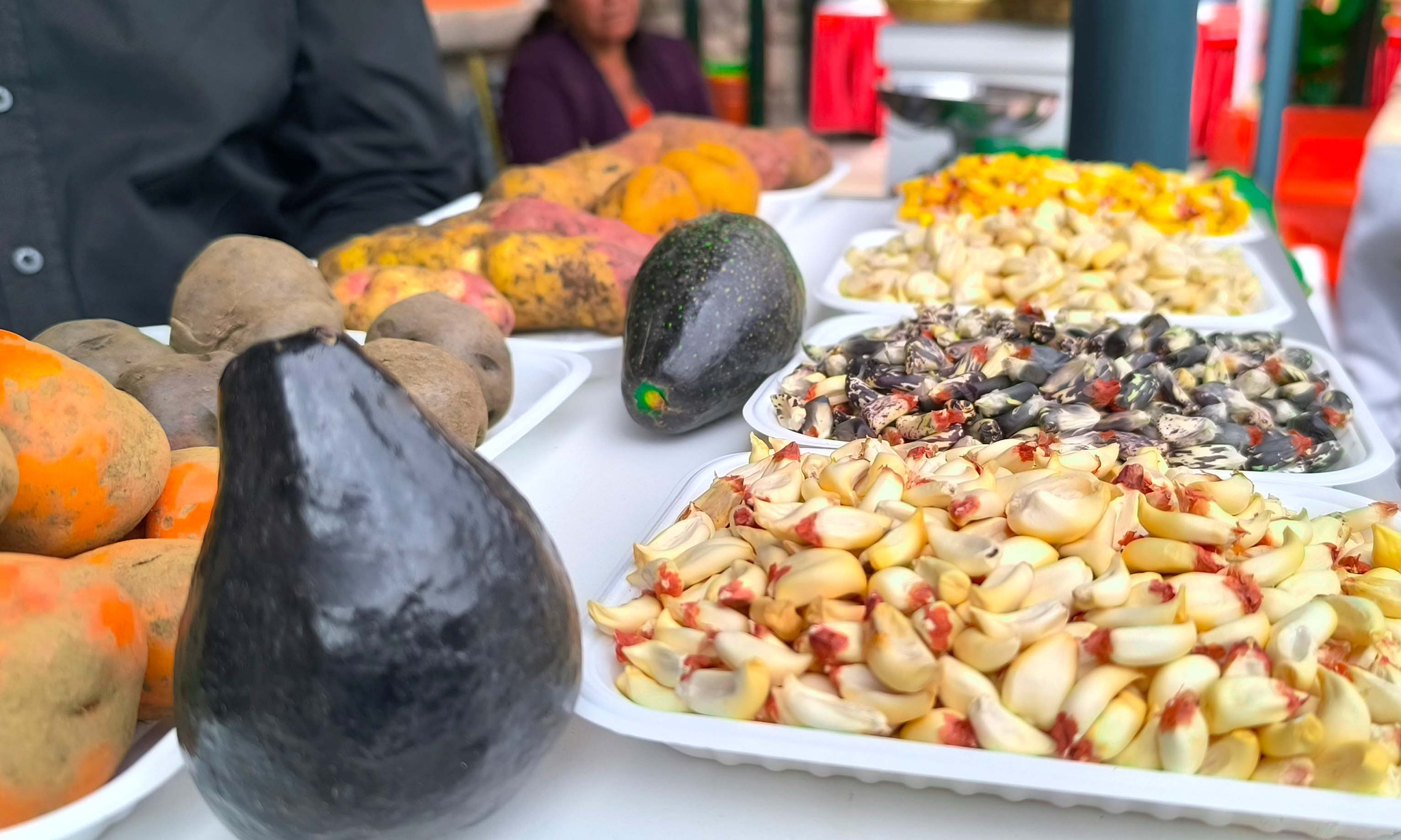 Productos en exhibición durante el Foro.