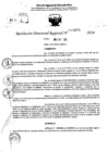 Vista preliminar de documento RDR 10891-2024
