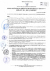 Vista preliminar de documento RGDUR-015-2025-MPHH
