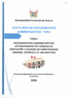 Vista preliminar de documento TUPA 2024-1
