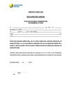 Vista preliminar de documento Anexos