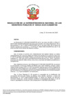 Vista preliminar de documento Resolución de la Superintendencia Nacional de los Registros Públicos N.° 019-2025-SUNARP/SN
