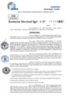 Vista preliminar de documento Resolucion Directoral N° 000135-2025