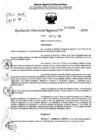 Vista preliminar de documento RDR 10896-2024