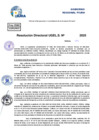 Vista preliminar de documento Resolucion Directoral N° 000141-2025