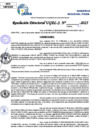 Vista preliminar de documento Resolucion Directoral N° 000146-2025