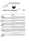 Vista preliminar de documento RDR 10899-2024