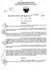 Vista preliminar de documento RDR 10900-2024