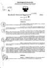 Vista preliminar de documento RDR 10901-2024