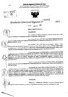 Vista preliminar de documento RDR 10902-2024