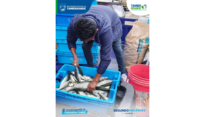 ¡La Municipalidad de Tambogrande reafirma su compromiso con el bienestar y desarrollo de nuestra comunidad