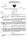 Vista preliminar de documento RDR 10904-2024