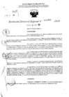 Vista preliminar de documento RDR 10905-2024