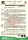 Vista preliminar de documento Resolución de Alcaldía N.° 004-2025-A-MDI