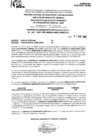 Vista preliminar de documento R.E.E.A.A 033-2025-21-01-2025