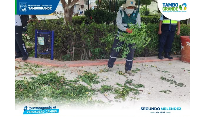 🔵🟢🟡 MDT realiza mantenimiento en la Plaza de Armas previo a la llegada del Señor Cautivo de Ayabaca