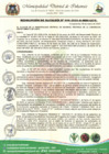 Vista preliminar de documento Resolución de Alcaldía N.° 008-2025-A-MDI