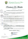 Vista preliminar de documento RESOLUCION DE ALCALDIA Nº 535