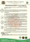 Vista preliminar de documento Resolución de Alcaldía N.° 011-2025-A-MDI