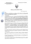 Vista preliminar de documento RD-0458-2025-DSAIA-DIRIS-LE-MINSA