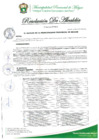 Vista preliminar de documento RESOLUCION DE ALCALDIA Nº 393