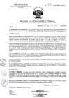 Vista preliminar de documento R.D. Nº 017-2025